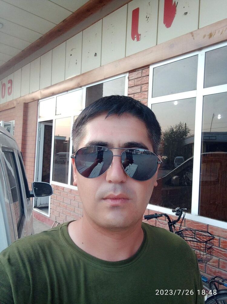 42431636  , 31 ,    