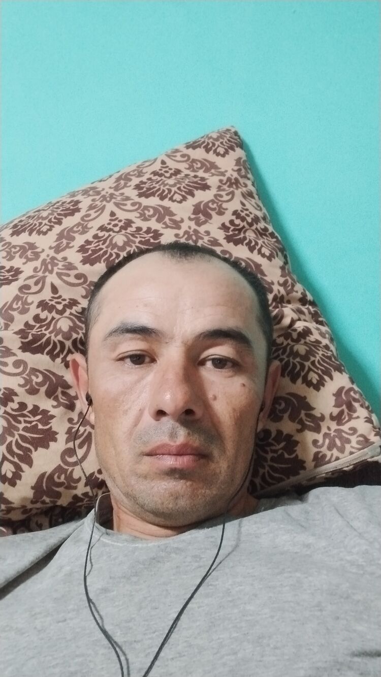  44862606  , 40 ,    