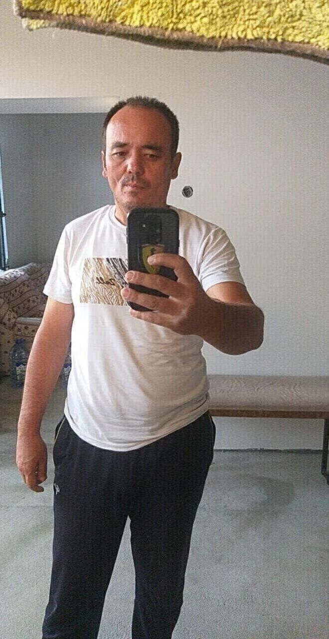  53566656  , 43 ,    