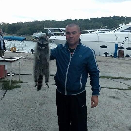 ���� 17602656 ������� ��������, 45 ���, ���� ���������� � �����