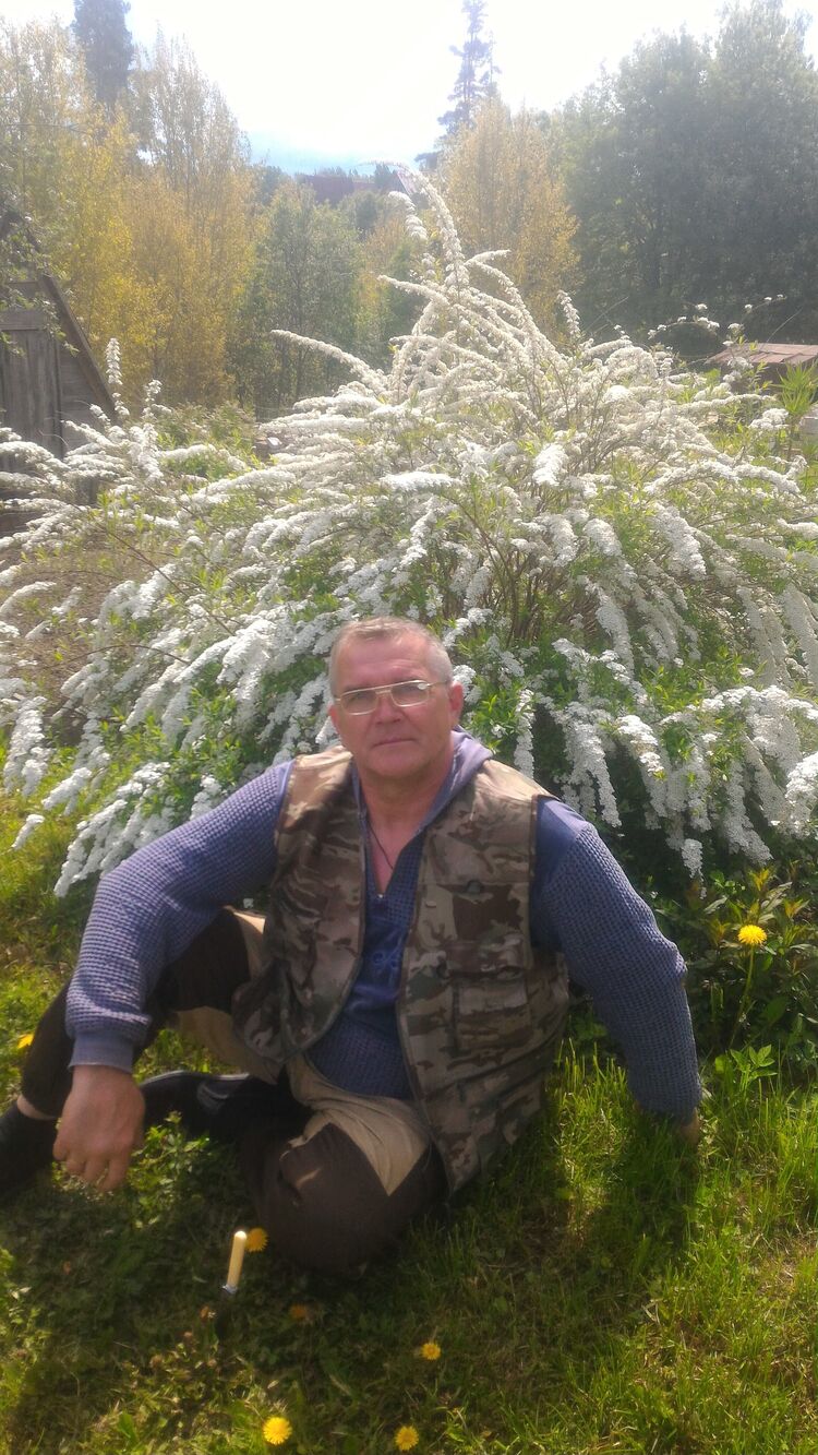  31817226  , 60 ,    -