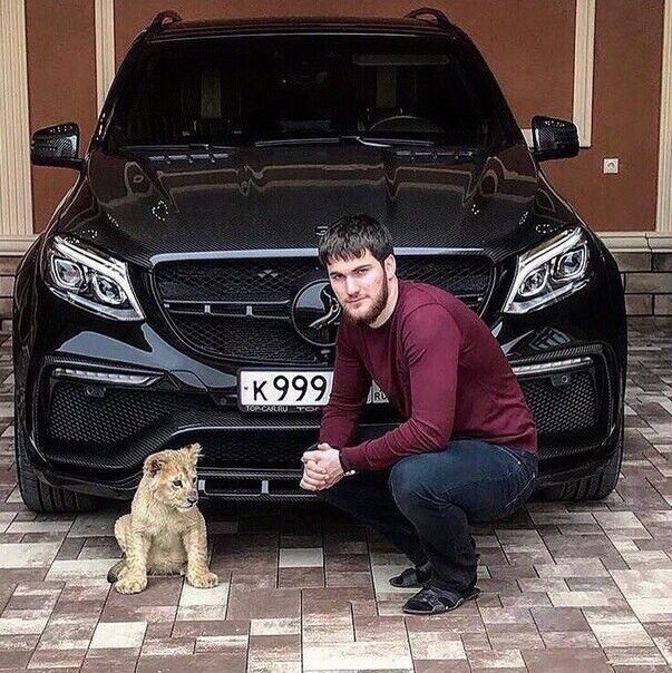 ���������� ������������, ���� ������� ������, 27 ���, ������������ ��� c�������� ���������