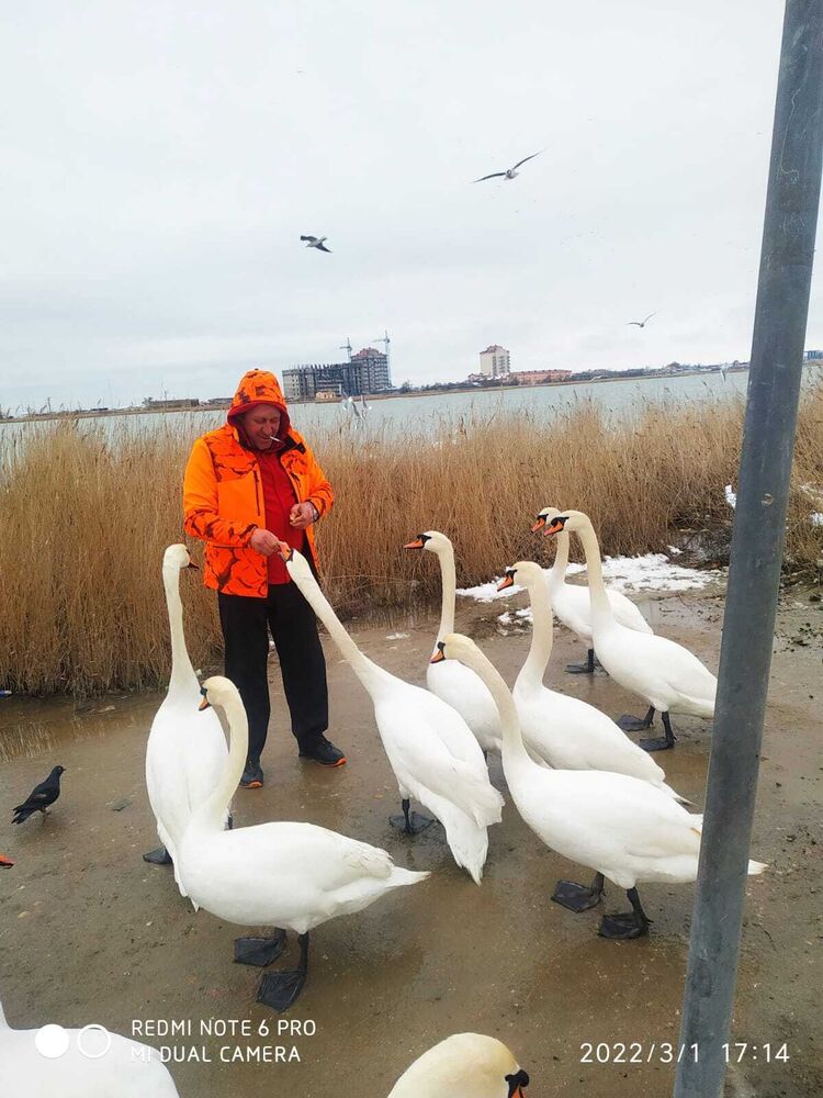  ,   Vladimir, 48 ,     , c 