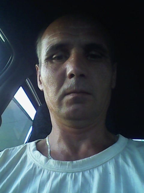  9887246  , 52 ,    