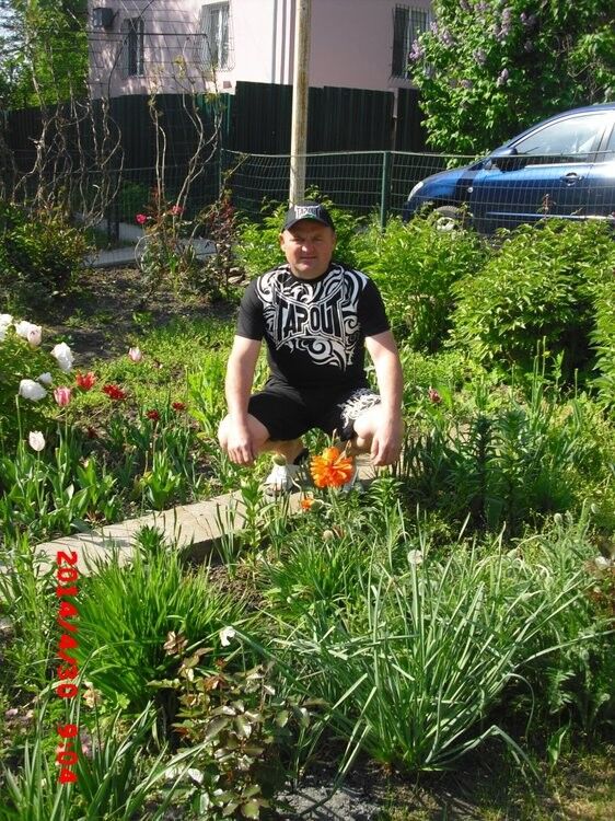  ,   Vlad, 54 ,   