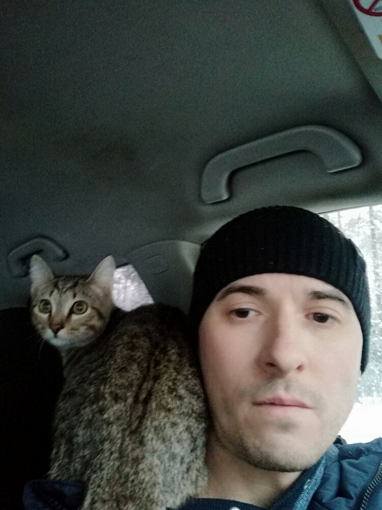 ���� 55828096 ������� ���������, 39 ���, ���� ���������� � ������������