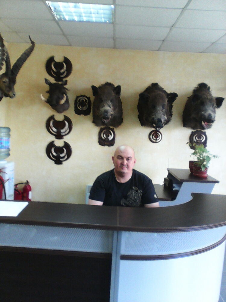  ,   , 53 ,   