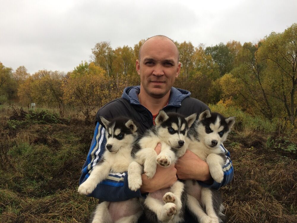 ���������� ������, ���� ������� ILNAR, 43 ����, ������������ ��� ������, ����� � ���������