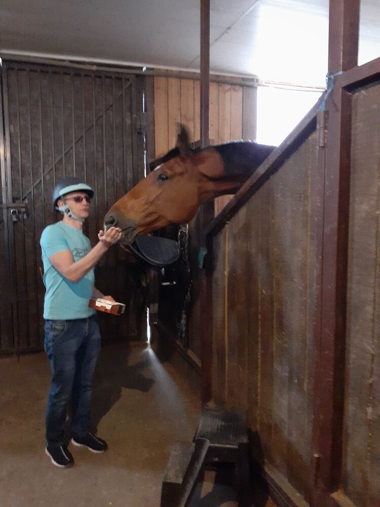 ���������� ���������, ���� ������� �����, 36 ���, ������������ ��� ������, ����� � ���������