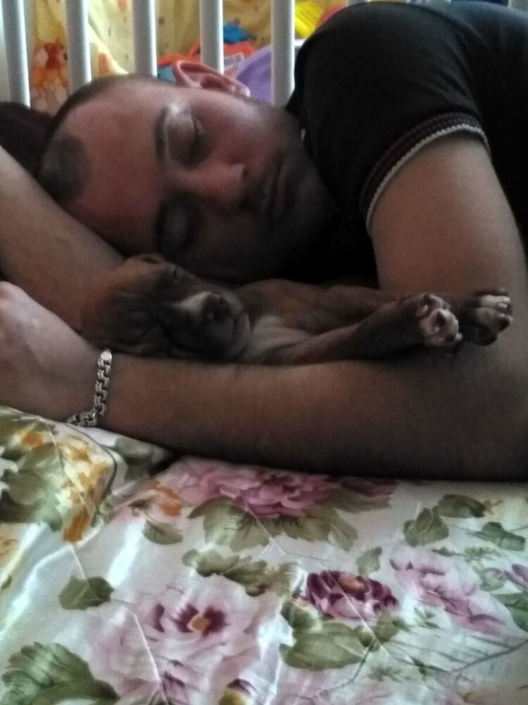 ���������� �����������, ���� ������� ������, 35 ���, ������������ ��� ������, ����� � ���������, c�������� ���������