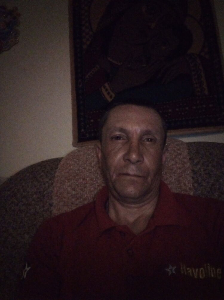  26537636  , 50 ,    