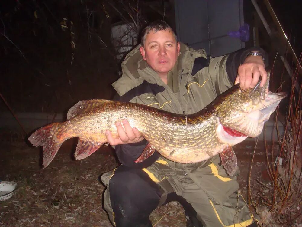 ���� 51916176 ������� Fidel, 33 ����, ���� ���������� � ����������