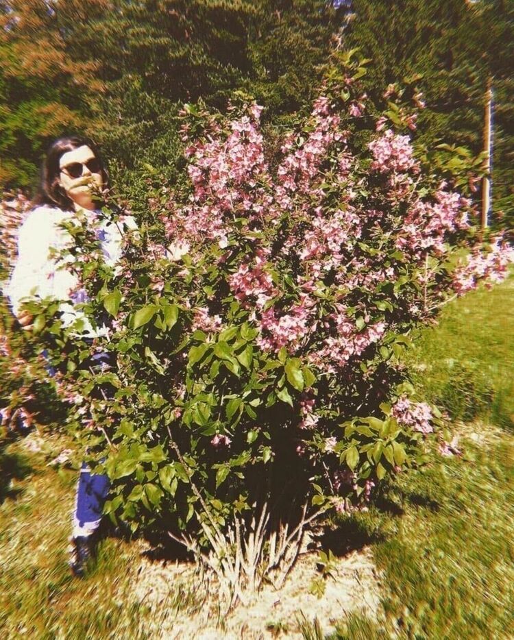  ,   , 29 ,   c 