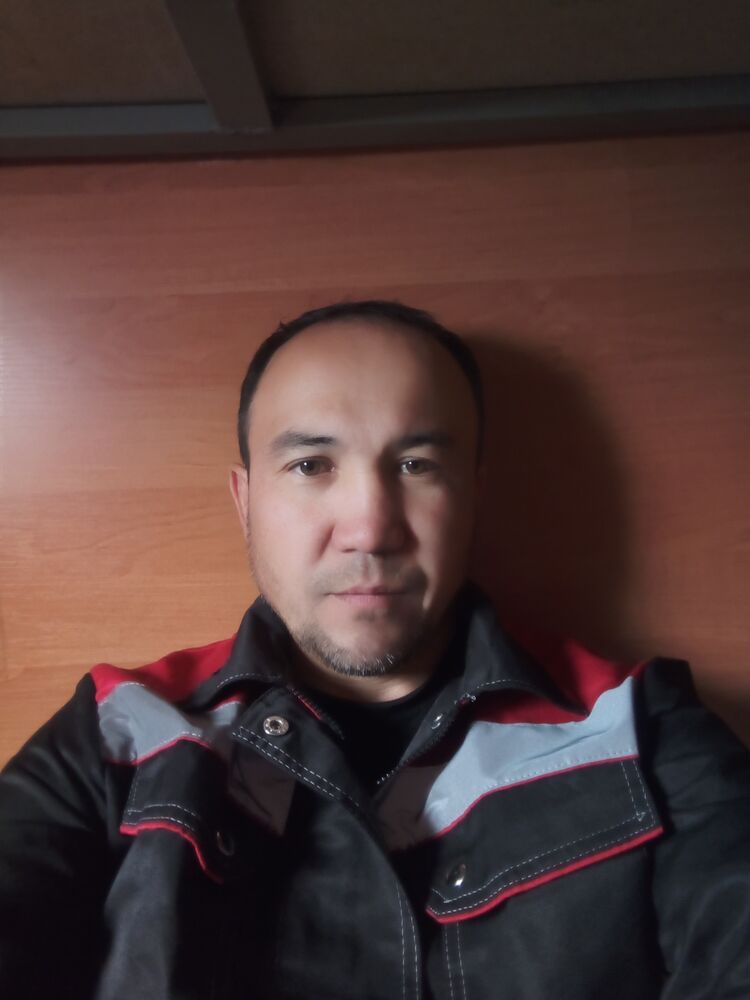  43513566  , 36 ,    