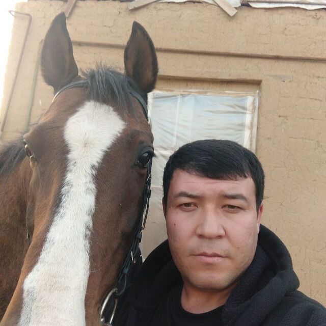 ���� 51478236 ������� Fayzulla, 36 ���, ���� ���������� � ��������