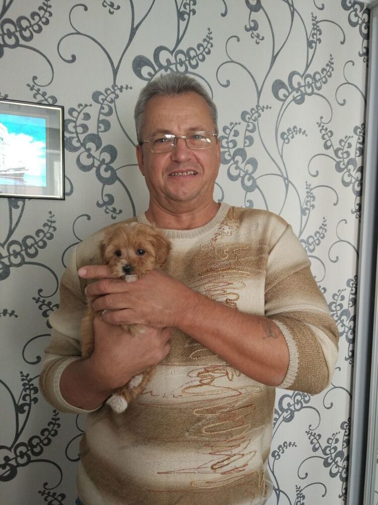  25053866  Vovan, 58 ,    