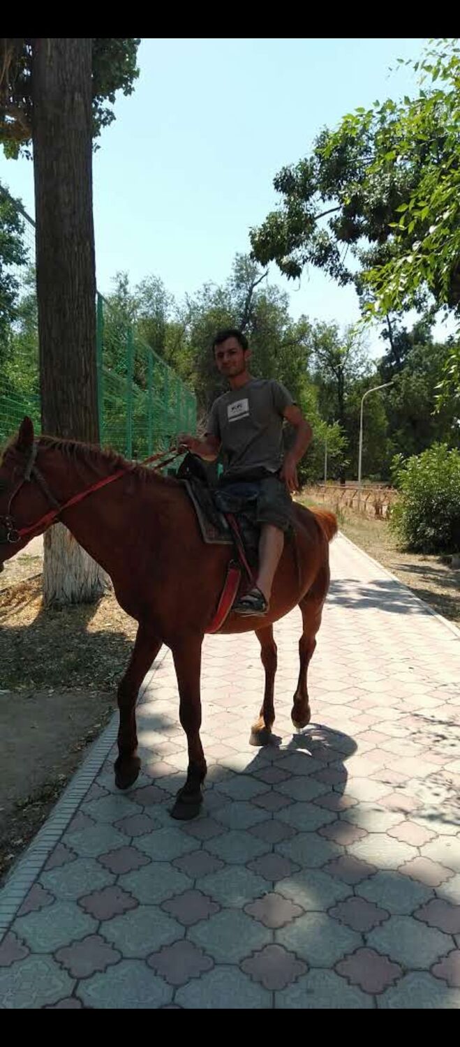  54188366  Bakhredin, 37 ,    