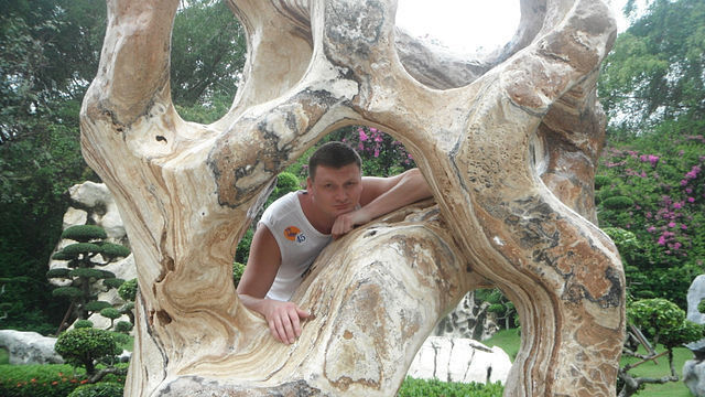 ���������� �������, ���� ������� ���������, 46 ���, ������������ ��� ������, ����� � ���������, c�������� ���������