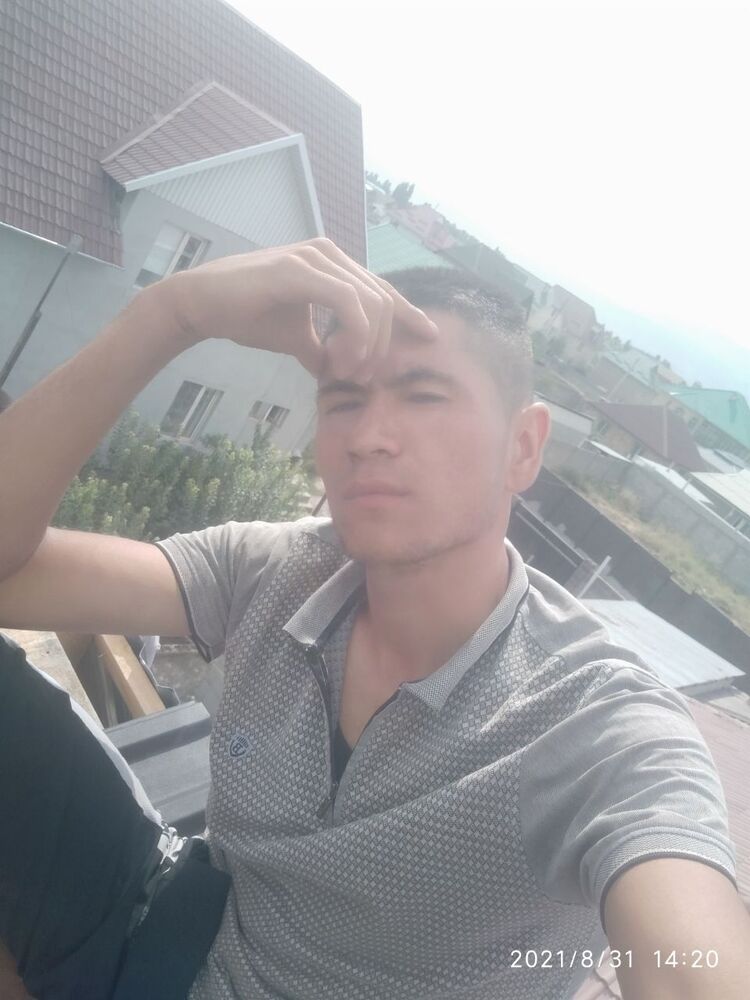  28943286  , 28 ,    