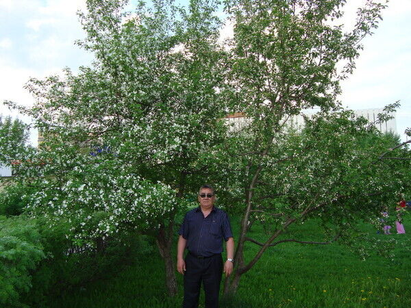 ���� 51739736 ������� �����, 66 ���, ���� ���������� � ���������� ������