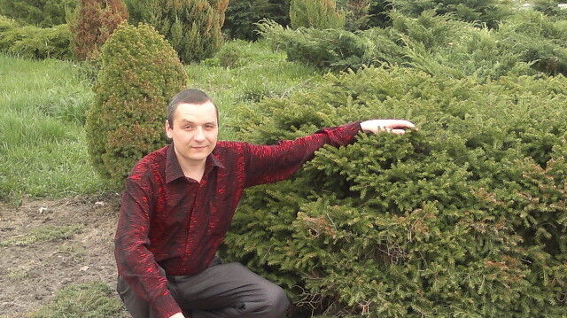 ���������� ����, ���� ������� ����, 45 ���, ������������ ��� ������, ����� � ���������, c�������� ���������