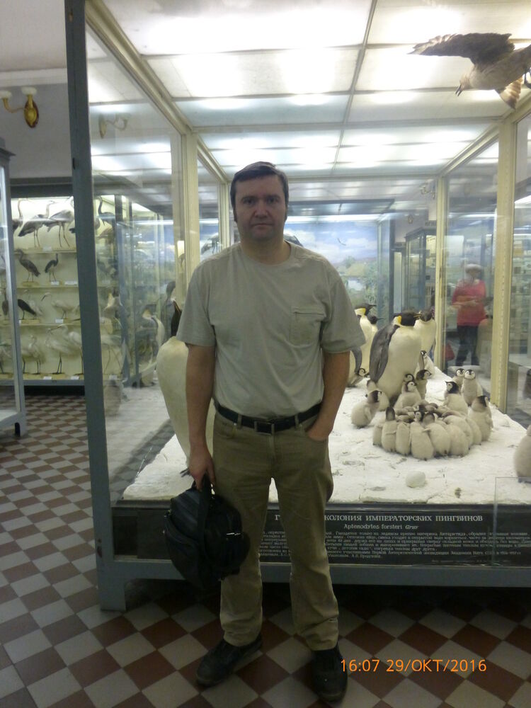 ���������� �����-���������, ���� ������� �������, 52 ����, ������������ ��� ������, ����� � ���������, c�������� ���������