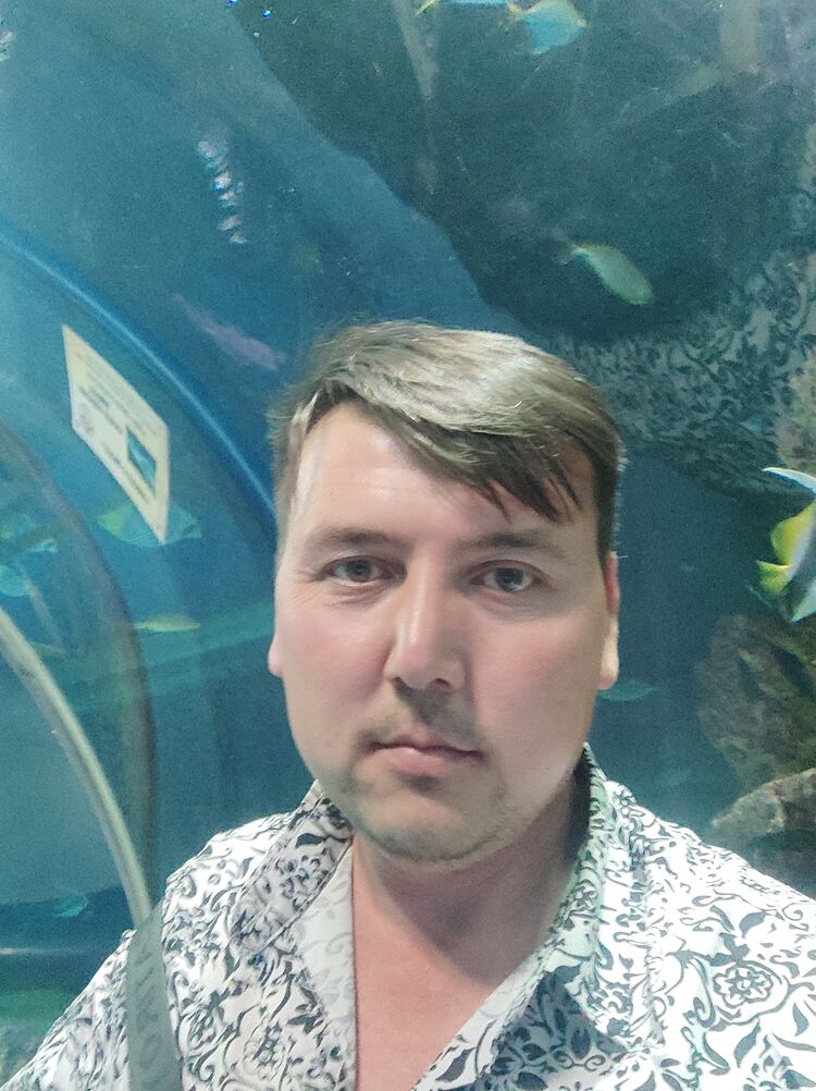 ���� 46687136 ������� ����, 32 ����, ���� ���������� � �����-����������