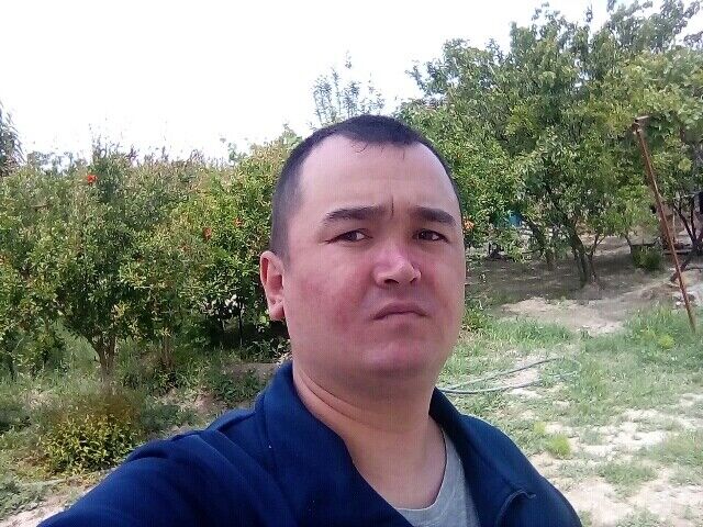 ���� 20489456 ������� ������, 33 ����, ���� ���������� � �������