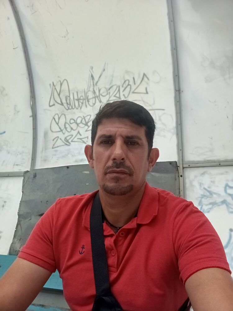  48665386  , 43 ,    