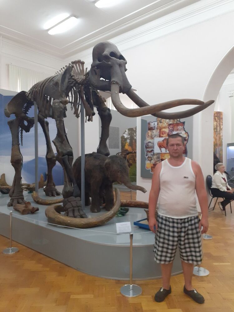 ���������� ����, ���� ������� ���������, 43 ����, ������������ ��� ������, ����� � ���������, c�������� ���������