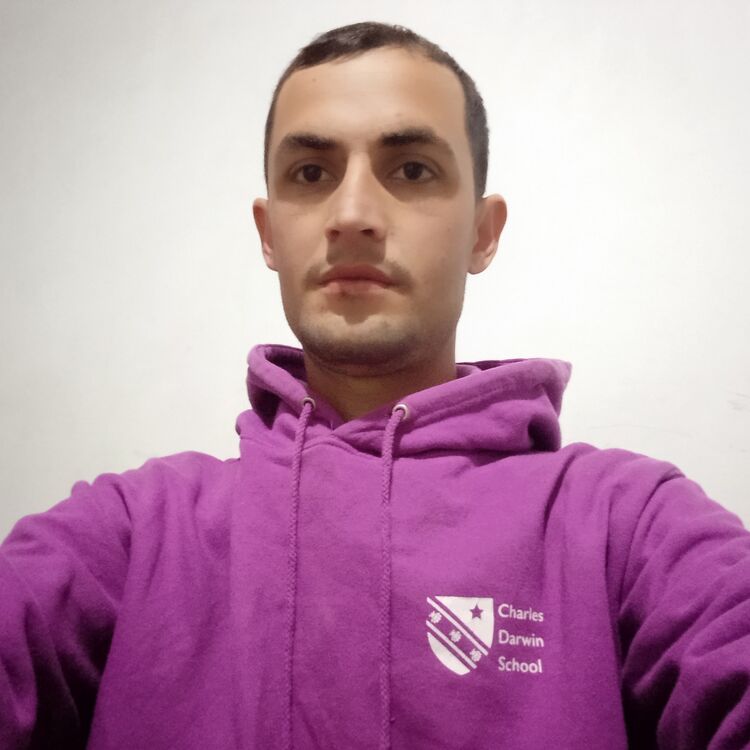 ���������� ������, ���� ������� F E D, 31 ���, ������������ ��� ����� � ���������