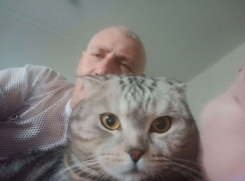  ,   , 59 ,     