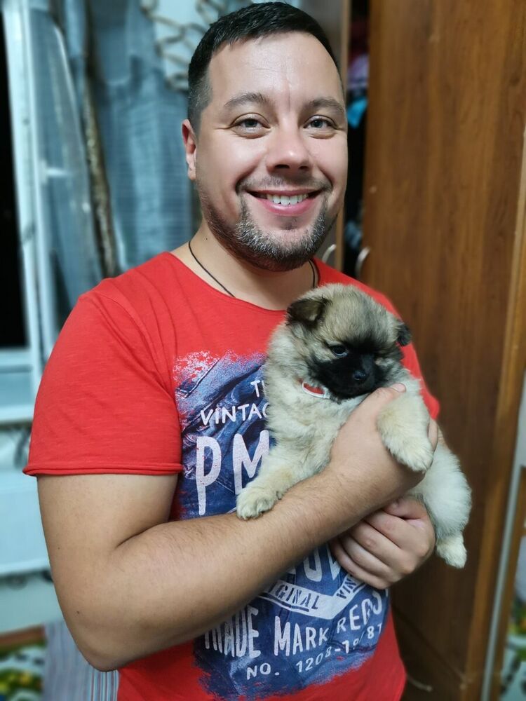 ���������� ��������, ���� ������� ������, 43 ����, ������������ ��� ������, ����� � ���������, c�������� ���������