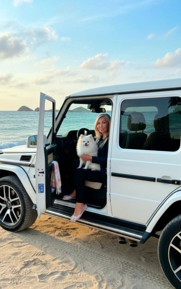 ���� 54866336 ������� ��������, 48 ���, ���� ���������� � ���������