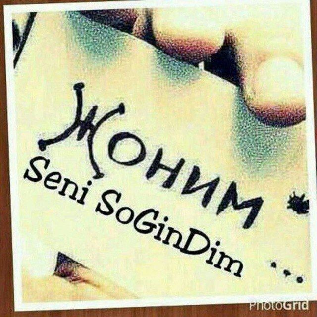  36243576  , 45 ,    