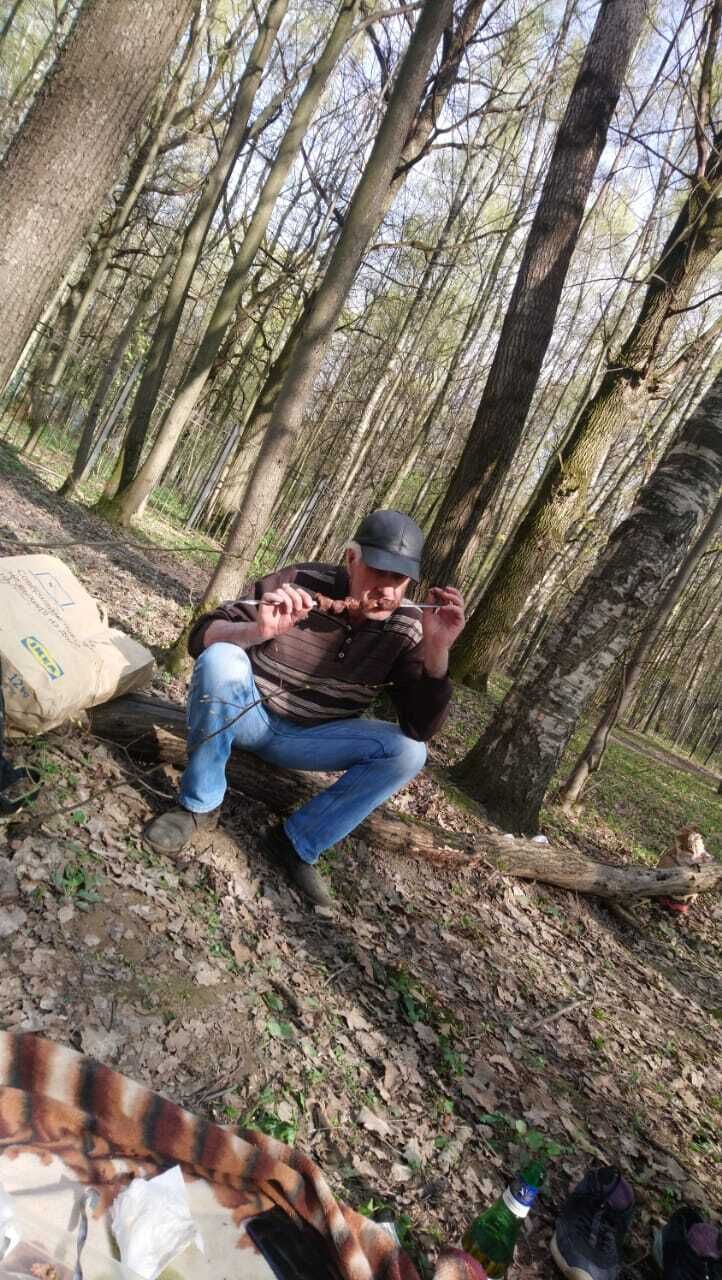  26913126  , 51 ,    