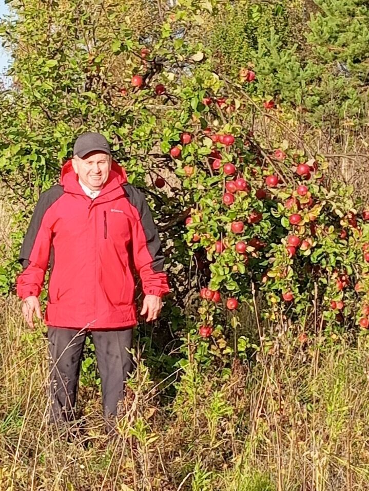 ���������� �����, ���� ������� ��������, 61 ���, ������������ ��� ������, ����� � ���������, c�������� ���������