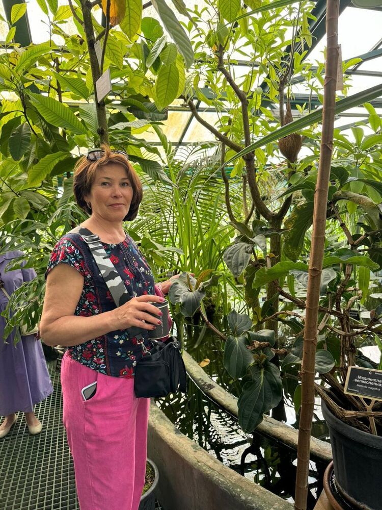 ���������� ������, ���� ������� �����, 61 ���, ������������ ��� c�������� ���������