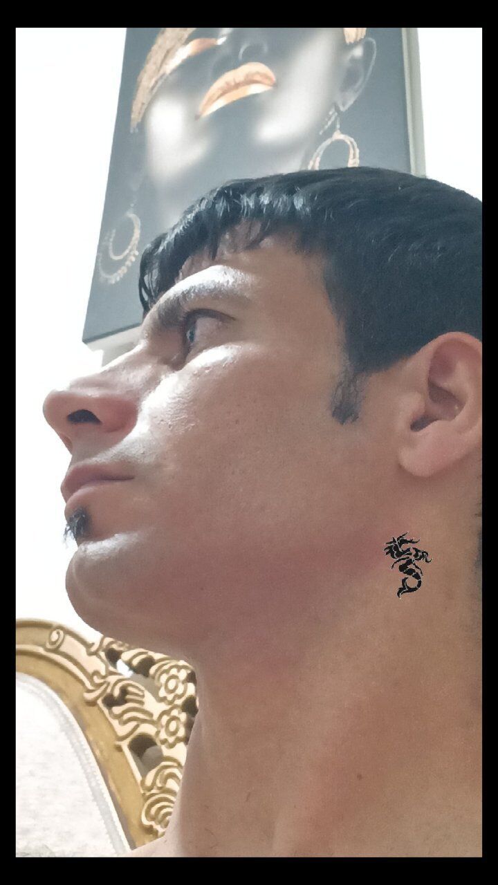  47607156  Mojtaba, 33 ,    Frankfurt Am Main