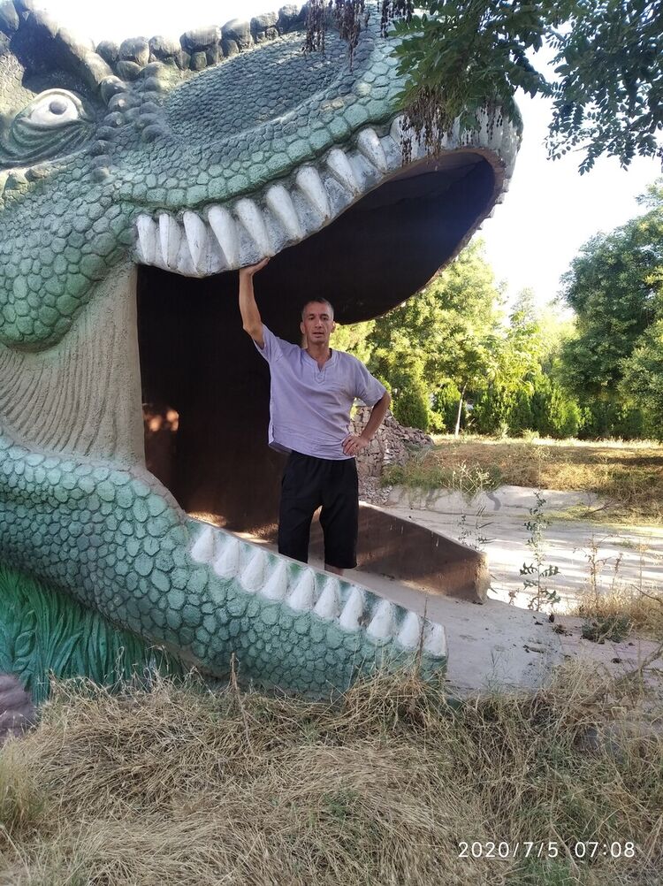 ���� 20406576 ������� ����, 48 ���, ���� ���������� � ��������