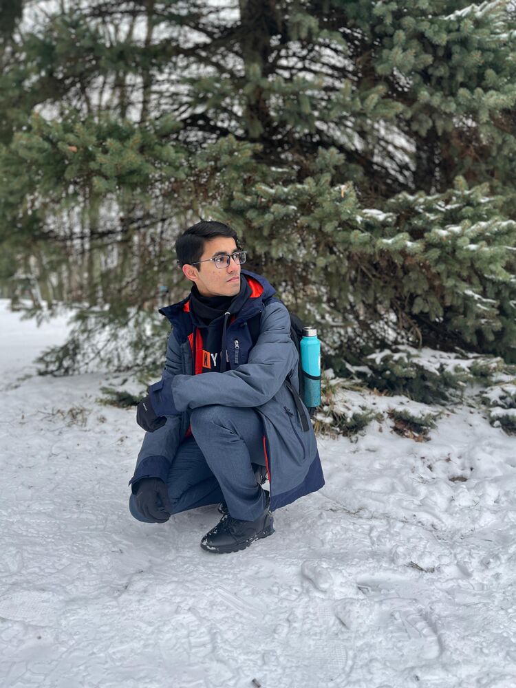 ���� 40428536 ����� ������, 20 ���, ���� ���������� � ������������