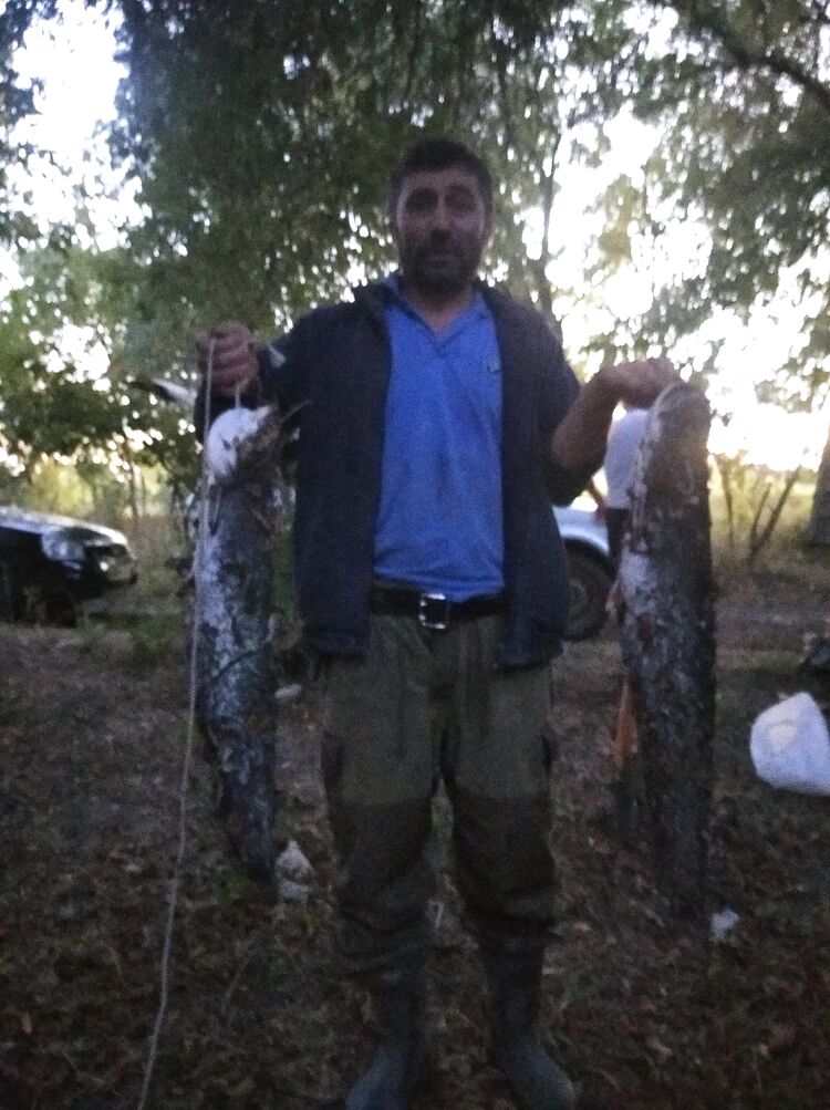  ,   , 45 ,   ,   