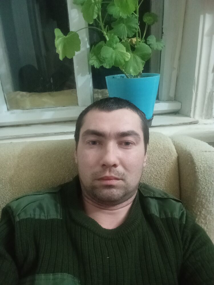  50246056  , 28 ,    