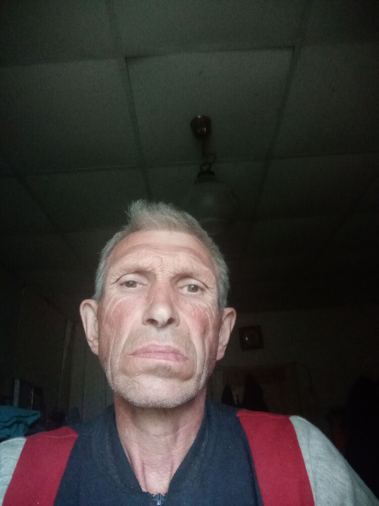  43418566  , 55 ,    