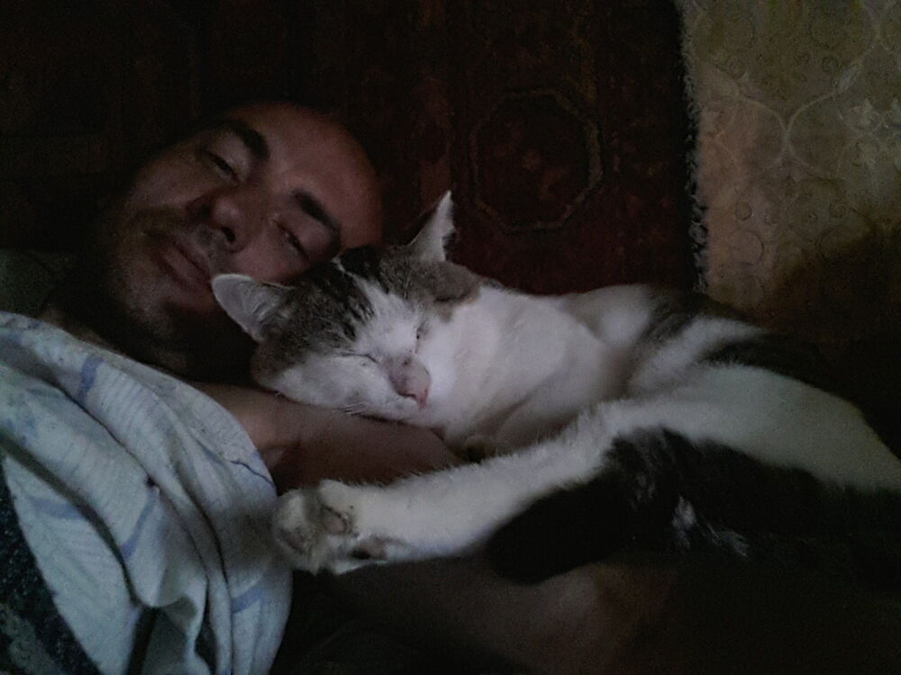  -,   , 47 ,   