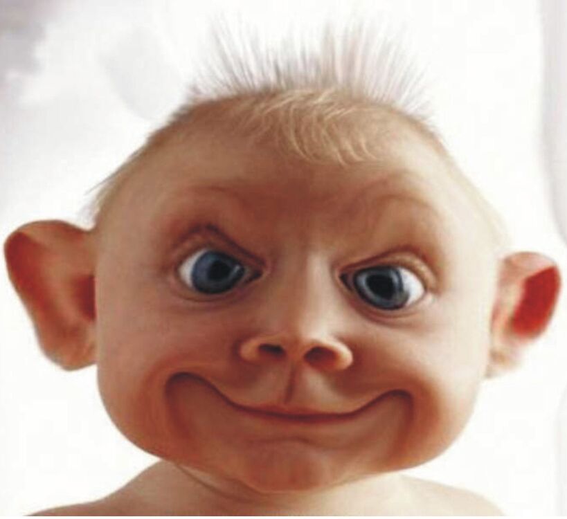 ���� 56051746 ������� ���������, 41 ���, ���� ���������� � �����-���������