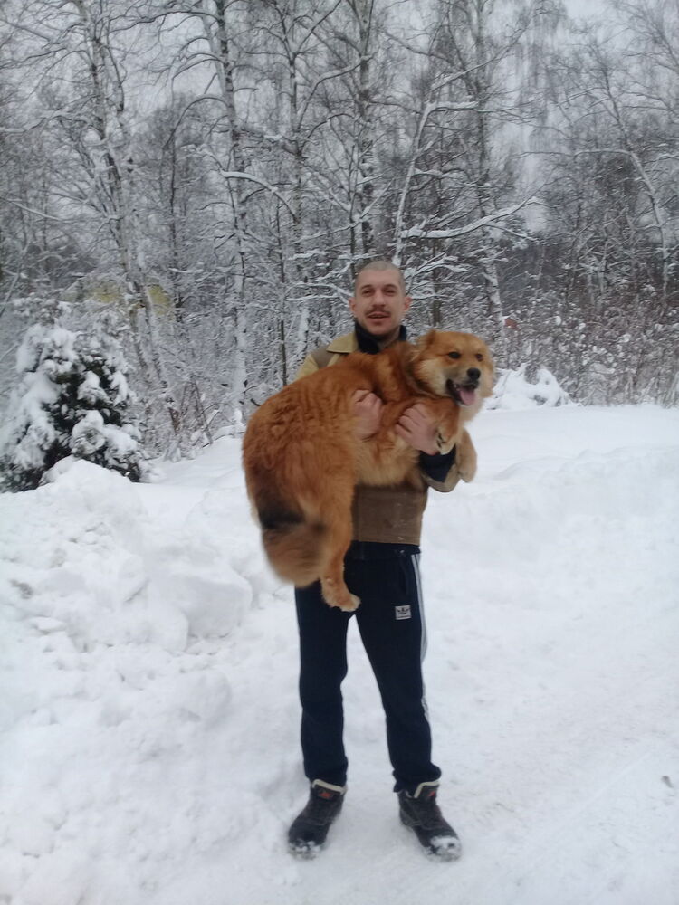 ���� 17407446 ������� �������, 42 ����, ���� ���������� � ������