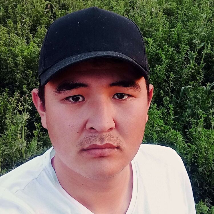 ���� 45674266 ������� ����, 32 ����, ���� ���������� � ������