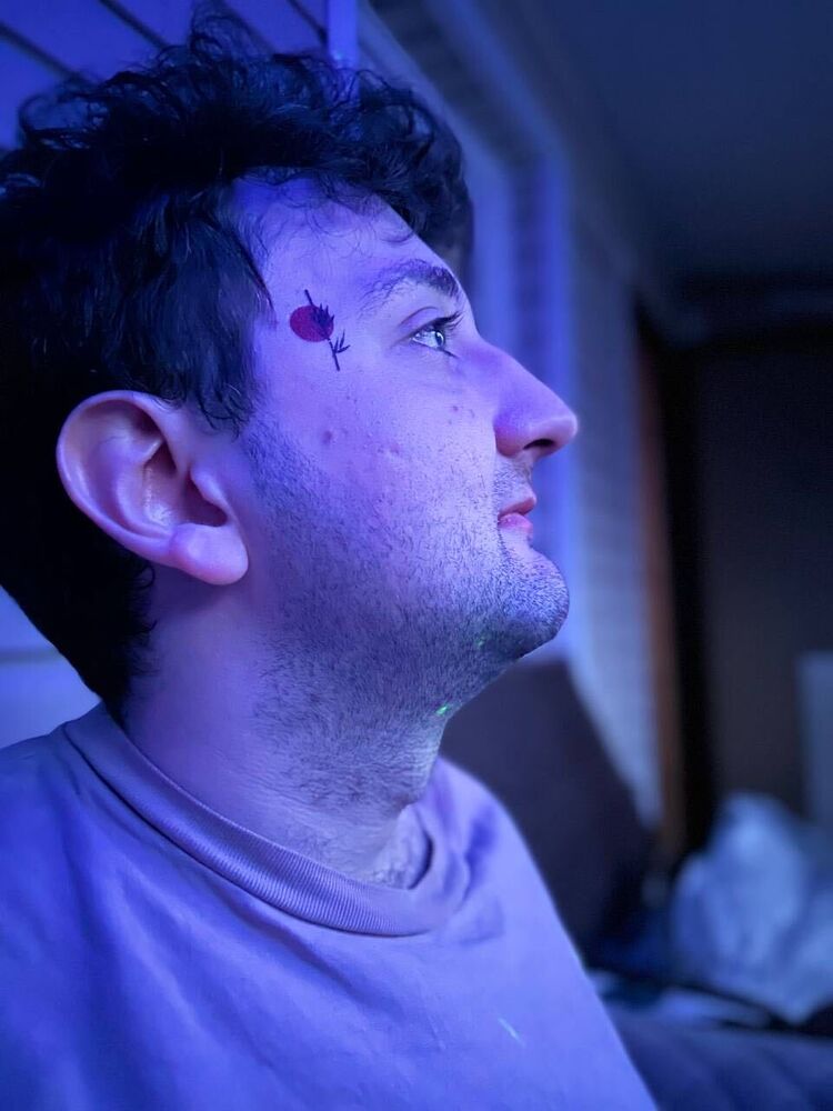  36558476  , 29 ,    -