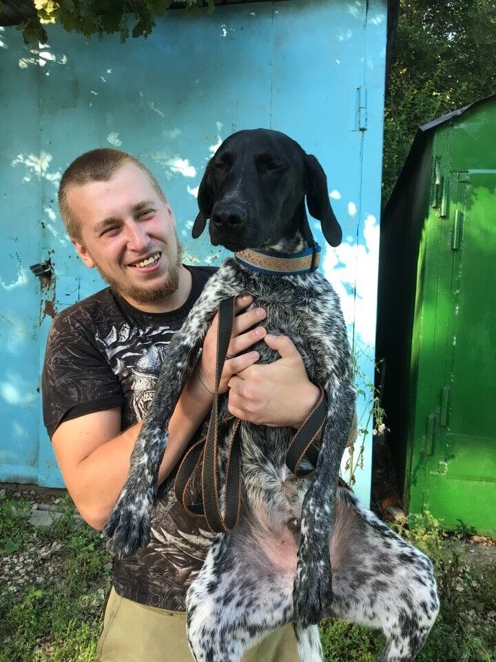 ���� 17224266 ������� ������, 36 ���, ���� ���������� � ������